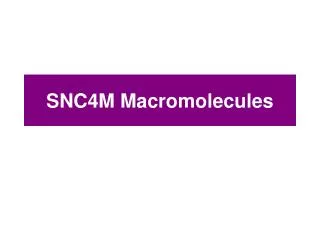 SNC4M Macromolecules