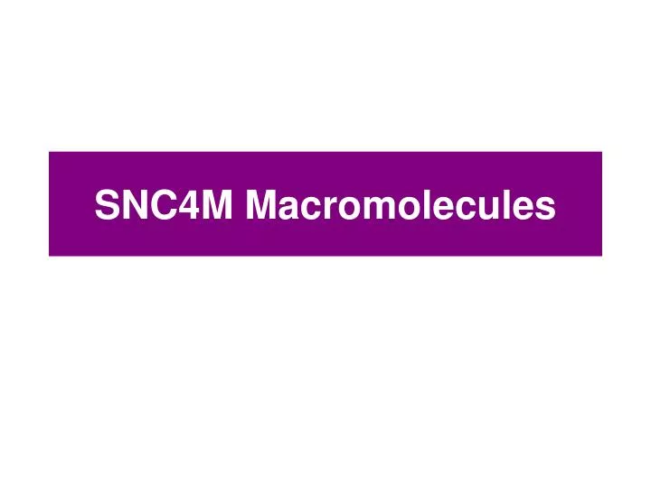 snc4m macromolecules