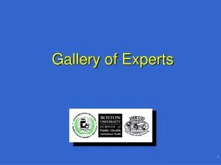 Gallery of Experts