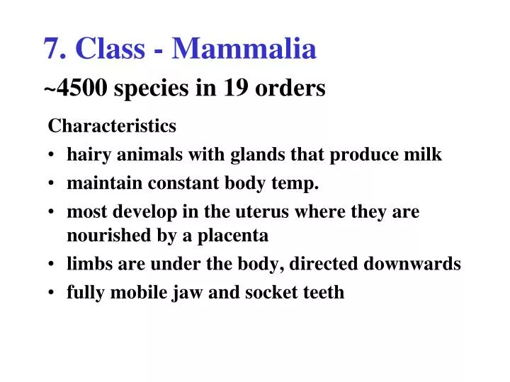 7 class mammalia 4500 species in 19 orders