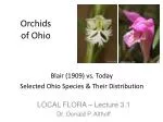 Orchids of Ohio - slide 1