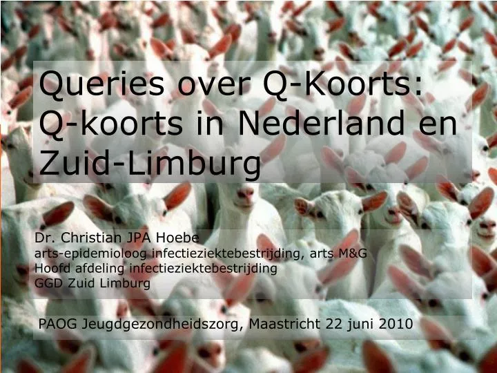 queries over q koorts q koorts in nederland en zuid limburg