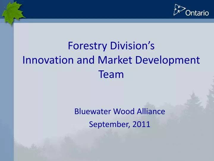 forestry division s innovation and market development team
