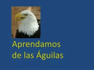 Aprendamos de las Águilas