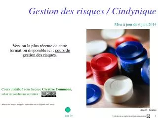gestion des risques cindynique