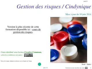 gestion des risques cindynique