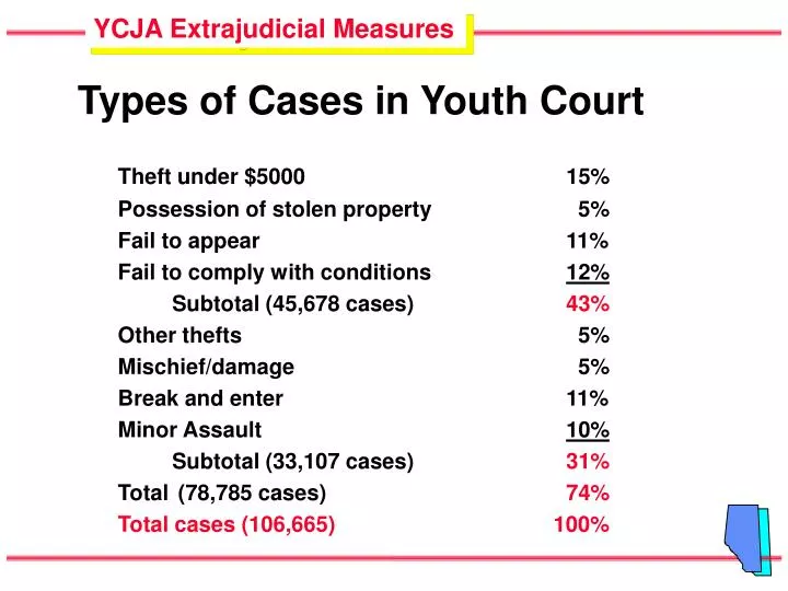 types of cases in youth court