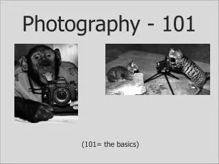 Photography - 101
