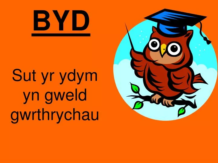 sut yr ydym yn gweld gwrthrychau