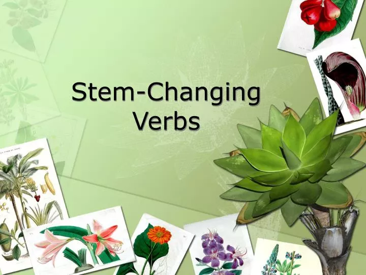 stem changing verbs