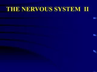 THE NERVOUS SYSTEM II