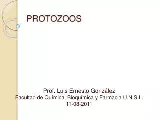 protozoos