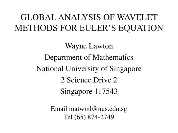 global analysis of wavelet methods for euler s equation