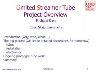 L imited S treamer T ube Project Overview