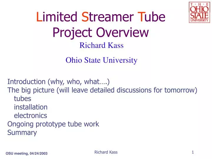 l imited s treamer t ube project overview
