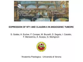 EXPRESSION OF WT1 AND CLAUDIN-5 IN ANGIOGENIC TUMORS S. Gobbo, A. Eccher, F. Comper, M. Brunelli, D. Segala, I. Cataldo