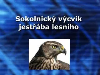 sokolnick v cvik jest ba lesn ho