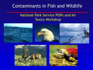 Contaminants in Fish and Wildlife