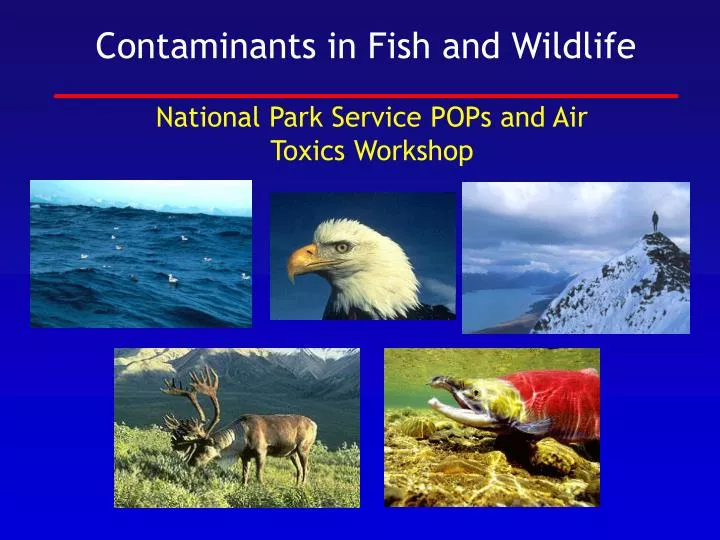 national park service pops and air toxics workshop