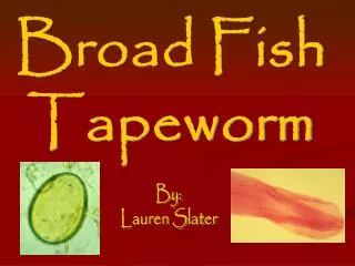 Broad Fish Tapeworm