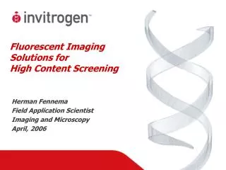 Fluorescent Imaging Solutions for High Content Screening