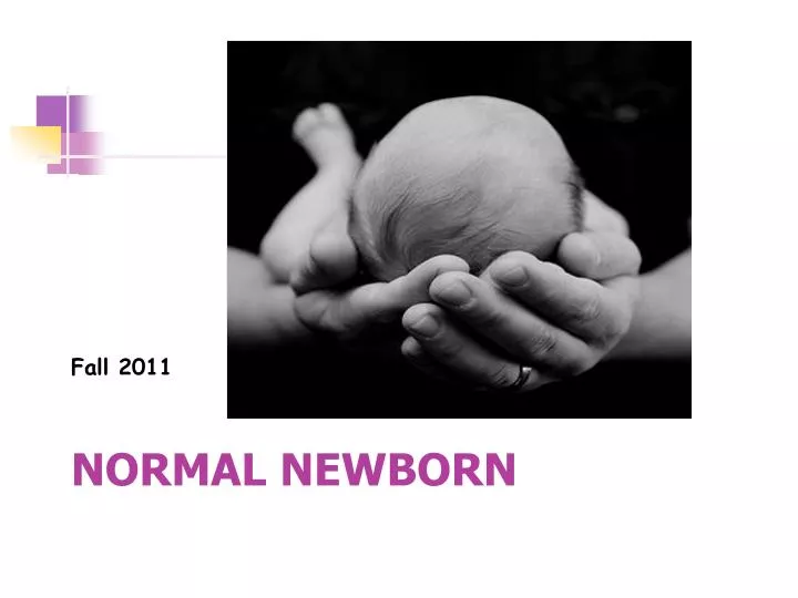 normal newborn