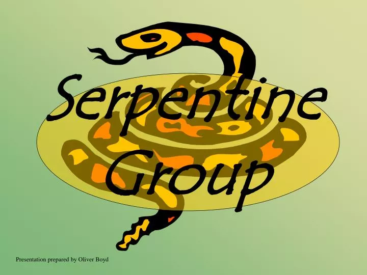 serpentine group