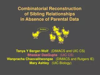 Combinatorial Reconstruction of Sibling Relationships in Absence of Parental Data