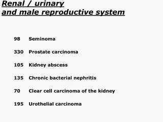 Renal / urinary and male reproductive system