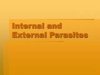 Internal and External Parasites