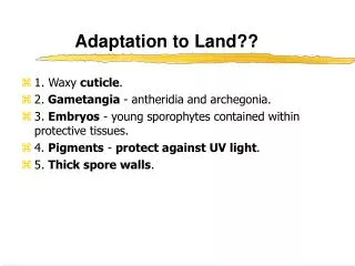 Adaptation to Land??