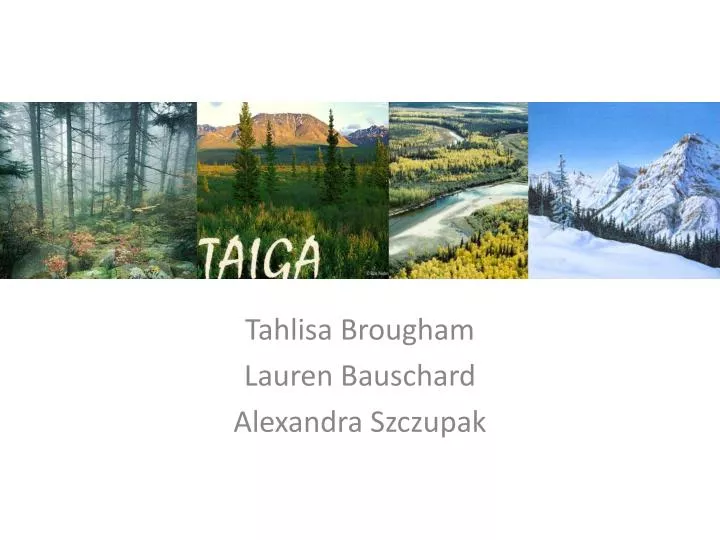 tahlisa brougham lauren bauschard alexandra szczupak