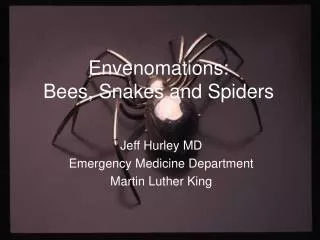 Envenomations: Bees, Snakes and Spiders