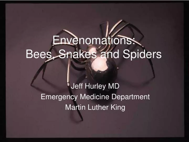envenomations bees snakes and spiders