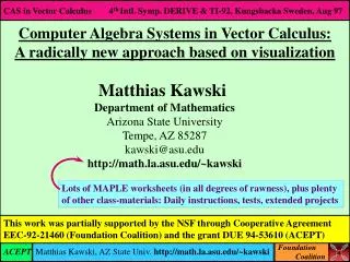 Computer Algebra Systems in Vector Calculus: A radically new approach based on visualization