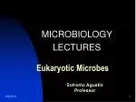 Eukaryotic Microbes - slide 1