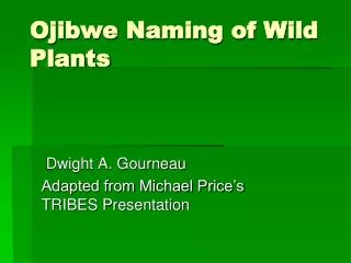 Ojibwe Naming of Wild Plants