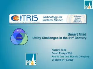 Smart Grid Utility Challenges in the 21 st Century