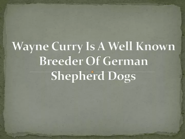 wayne curry is a well known breeder of german shepherd dogs