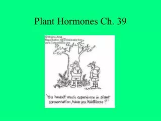 Plant Hormones Ch. 39