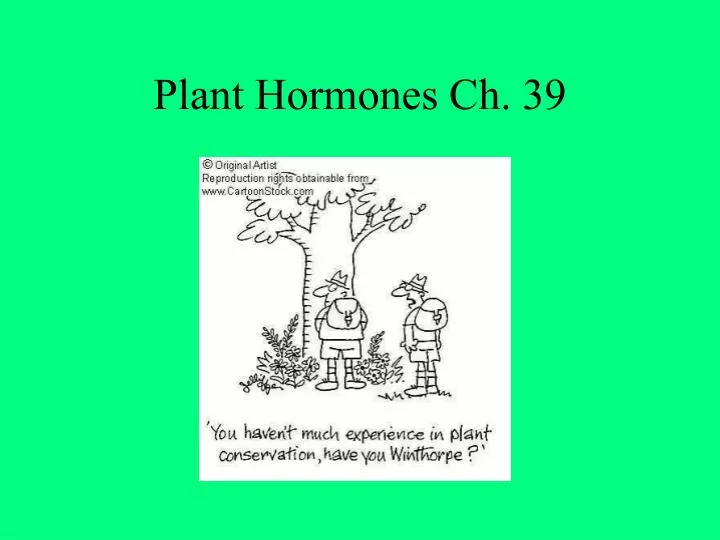 plant hormones ch 39