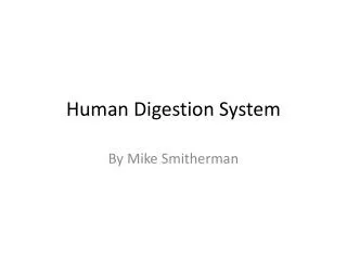 Human Digestion System