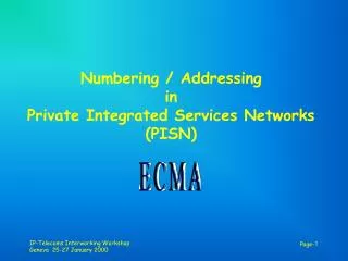 Numbering / Addressing in Private Integrated Services Networks (PISN)