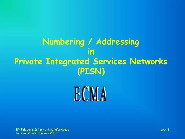 numbering addressing in private integrated services networks pisn
