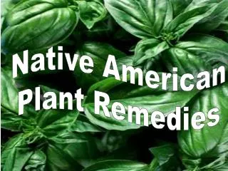 Native American Plant Remedies
