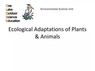 Ecological Adaptations of Plants &amp; Animals