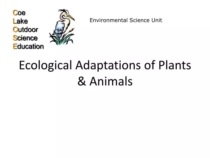 ecological adaptations of plants animals