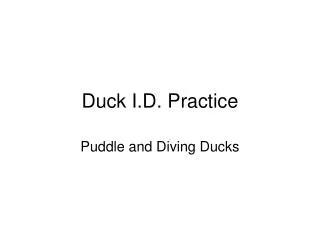 Duck I.D. Practice