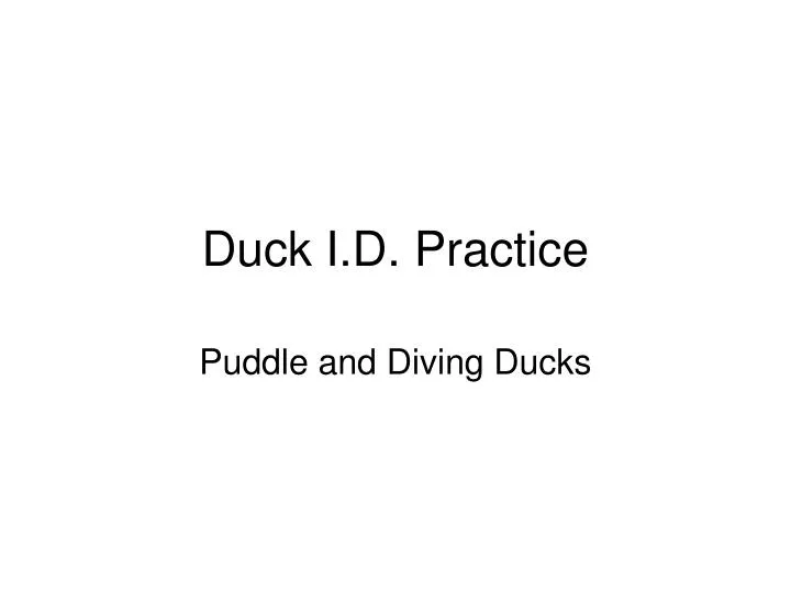 duck i d practice