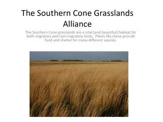 The Southern Cone Grasslands Alliance